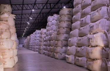 La taza del café siente los efectos del cambio climático La taza del café siente los efectos del cambio climático