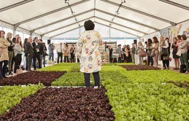 Las Ensaladas de Florette aportan el 45% del crecimiento del sector de vegetales frescos envasados