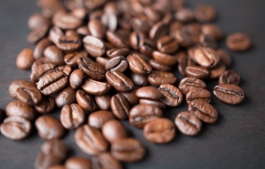 Las exportaciones del café hondureño disminuyen un 24%