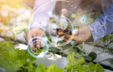 Las startups de foodtech españolas triplican su inversión con una facturación de 695 millones Las startups de foodtech españolas triplican su inversión con una facturación de 695 millones