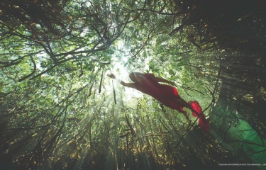 Lavazza presenta su calendario 2022 con seis activistas fotografiados por Emmanuel Lubezki