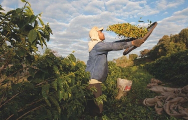 Lavazza, una andadura por la sostenibilidad que culminará en 2030 Lavazza, una andadura por la sostenibilidad que culminará en 2030