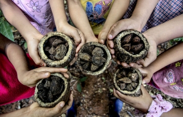 Lavazza y su compromiso con el planeta: café de “Deforestación Cero” en Etiopía Lavazza y su compromiso con el planeta: café de “Deforestación Cero” en Etiopía