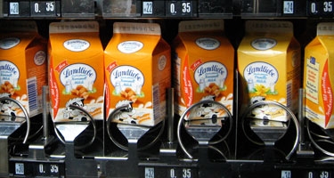 Refrescos, caramelos, golosinas, polos y sorbetes, chocolates y aperitivos salados fuera de los cent