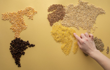 Los futuros del café en experimentan un impulso positivo en diciembre de 2023