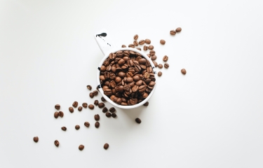 Los proyectos de café de especialidad y sostenibilidad premiados por la SCA Los proyectos de café de especialidad y sostenibilidad premiados por la SCA