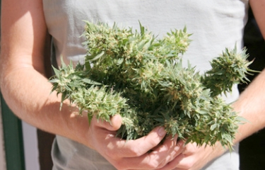 La marihuana ya se vende vía "vending" en los Estados Unidos