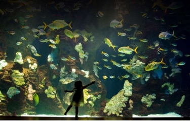 Mejor gestión, mejor empresa: el gran evento de la EVE para la distribución automática