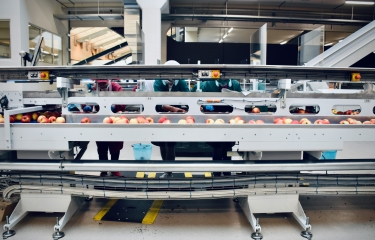 Mercadona abre su primer centro logístico semiautomatizado para pedidos online en Vallecas