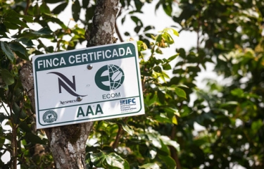 Nespresso abunda en la sostenibilidad de la producción y el consumo de café con un nuevo plan integral