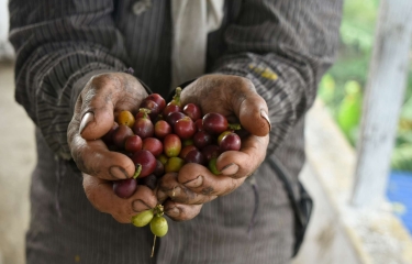 Nespresso invierte en la reactivación del café de la República Democrática del Congo Nespresso invierte en la reactivación del café de la República Democrática del Congo