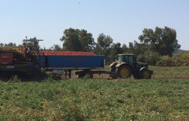 Nestlé dona más de 53 toneladas de tomate Solís para paliar los efectos del Covid-19