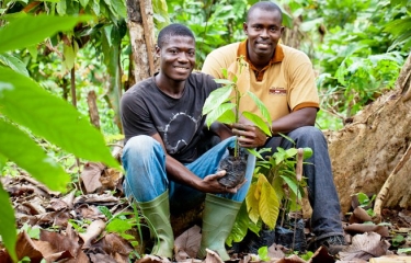 Nestlé se compromete a producir todos sus chocolates con cacao de cultivo sostenible