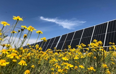 Nestlé España instala su segundo parque solar fotovoltaico Nestlé España instala su segundo parque solar fotovoltaico