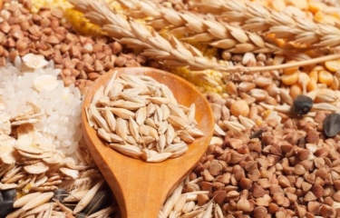 Nestlé invierte 30 millones de euros en una línea de bebidas de cereales en Portugal Nestlé invierte 30 millones de euros en una línea de bebidas de cereales en Portugal