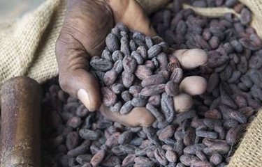 Nestlé se compromete a alcanzar las cero emisiones en 2050 Nestlé se compromete a alcanzar las cero emisiones en 2050