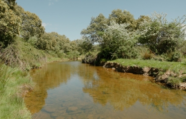 Nestlé Waters: más de 1,6 millones de m3 de agua regenerados en 2025