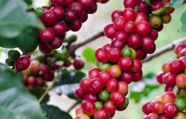 Nuevas referencias y avances en sostenibilidad, así comienza el año para Nestlé