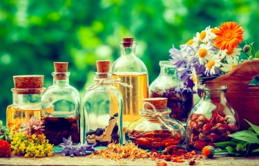 Las plantas medicinales incrementan su popularidad entre la población Las plantas medicinales incrementan su popularidad entre la población