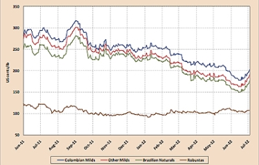 Los precios del café continúan en caída libre