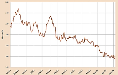 Las exportaciones de café se mantienen estables mientras el mercado diverge Las exportaciones de café se mantienen estables mientras el mercado diverge