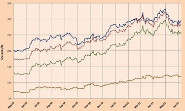 Desciende el precio de los Arábica y aumentan los Robusta