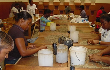 illy Café entregó los premios a sus mejores proveedores brasileños de café