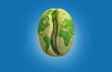 Slow Food Coffee, una coalición para unir a todos los actores del mundo del café Slow Food Coffee, una coalición para unir a todos los actores del mundo del café