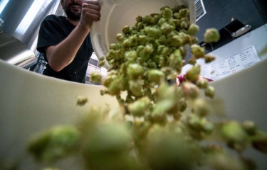 Sostenible, biodegradable y producido a partir de lechuga, así es un packaging ganador