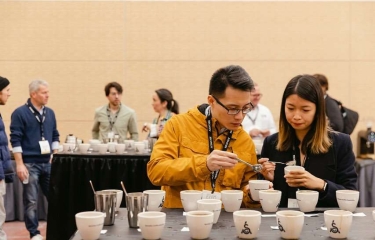 Tras una pausa de tres años, vuelve la World of Coffee