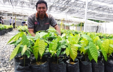 La innovación como clave para ayudar a los agricultores de Cacao en Indonesia
