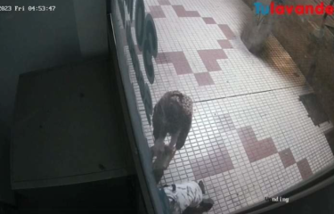 Un hurto en máquinas expendedoras frustrado por un extra de seguridad Un hurto en máquinas expendedoras frustrado por un extra de seguridad