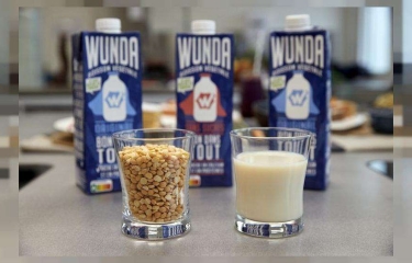 Una pausa del café con alternativas lácteas a base de guisantes Una pausa del café con alternativas lácteas a base de guisantes