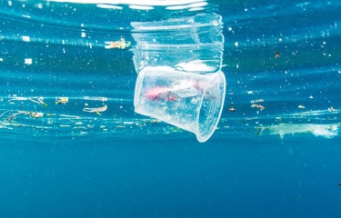 La nueva iniciativa de Fujitsu para reducir los residuos plásticos en los océanos