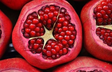 Zumo de granada, una nueva propuesta para el vending saludable