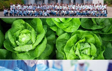 ‘Yo te acompaño’, el nuevo proyecto de la compañía de alimentación Ñaming