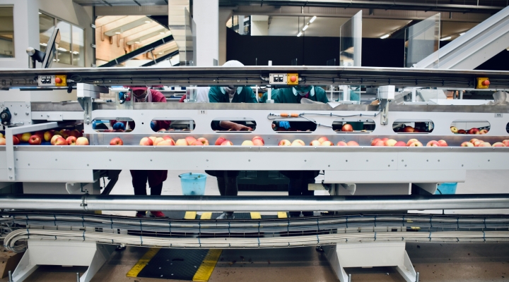 Mercadona abre su primer centro logístico semiautomatizado para pedidos online en Vallecas