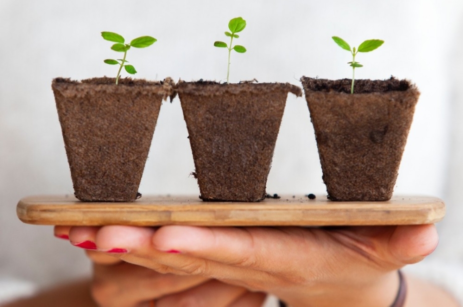 El consumo consciente determinará el futuro de las marcas