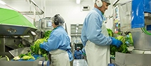 Florette duplicará la producción de sus Ensaladas Completas en bol gracias al éxito de su formato Florette duplicará la producción de sus Ensaladas Completas en bol gracias al éxito de su formato