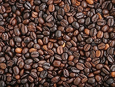 ICO revela que los precios del café se estabilizaron durante el mes de marzo