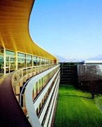 El primer trimestre da pistas de cómo será el ejercicio 2009 para Nestlé