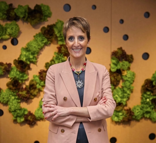 Florette: pionera en introducir las ensaladas envasadas en el país Florette: pionera en introducir las ensaladas envasadas en el país