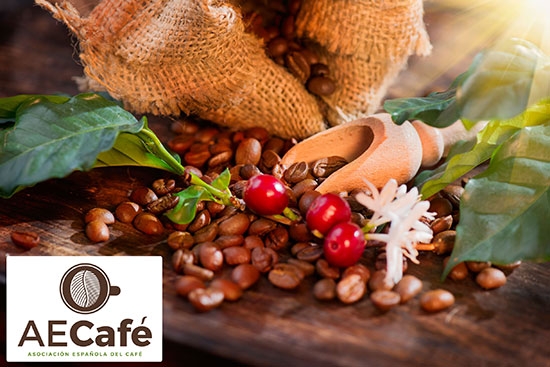 Rocío Hervella (PROSOL), nueva presidenta de la Asociación Española del Café (AECafé) Rocío Hervella (PROSOL), nueva presidenta de la Asociación Española del Café (AECafé)