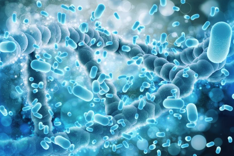 Aprobado el nuevo Real Decreto para la prevención y el control de bacterias en el agua