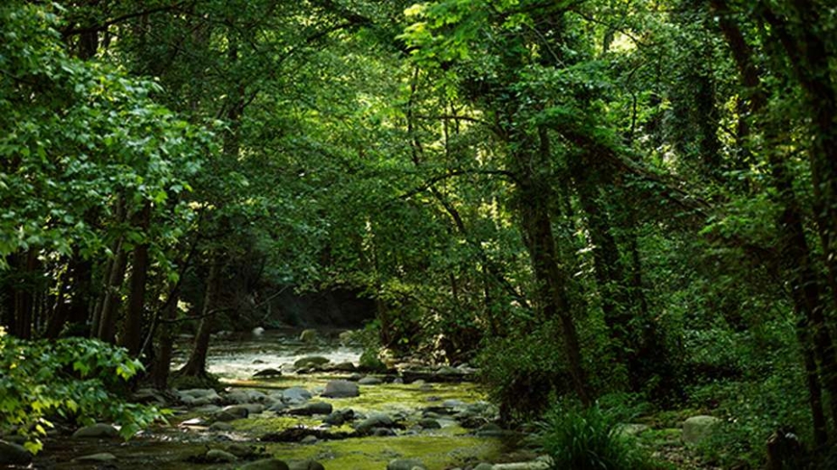 Todas las plantas de Nestlé Waters estarán certificadas por la Alliance for Water Stewardship en 2025 Todas las plantas de Nestlé Waters estarán certificadas por la Alliance for Water Stewardship en 2025