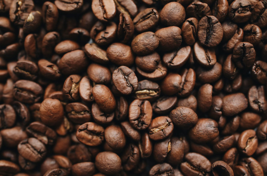 Café y sostenibilidad: El desafío de satisfacer el paladar y el planeta