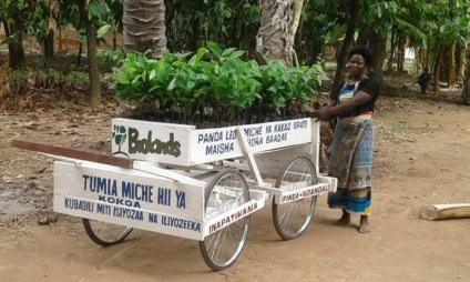Hacia un vending más comprometido: empoderando a los agricultores de cacao Hacia un vending más comprometido: empoderando a los agricultores de cacao