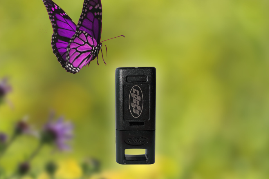 Coges lanza la nueva versión de MyKey en plástico 100% reciclado Coges lanza la nueva versión de MyKey en plástico 100% reciclado