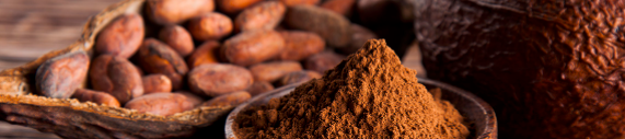 El cacao podría desaparecer de aquí al año 2050 El cacao podría desaparecer de aquí al año 2050