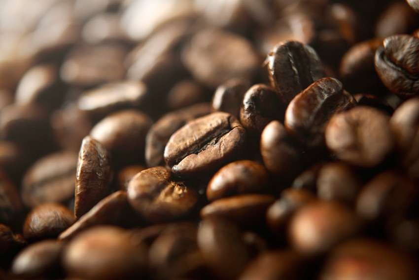 El café de Covim participará en el Gulfood 2022 en Dubai